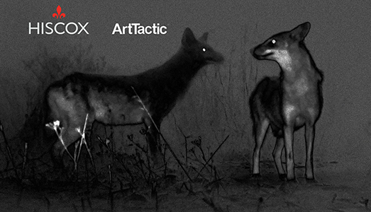 Il report di Hiscox sul mercato online