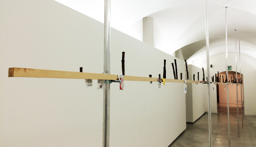 L’intervista/Francesco Arena