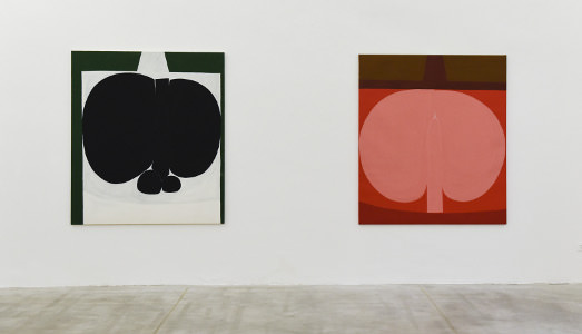 Fino al 09.V.2015 | Duane Zaloudek, Early Works   | Monitor, Roma