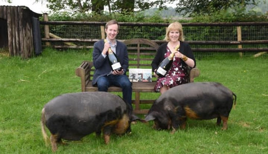 La follia dei collezionisti La follia dei collezionisti