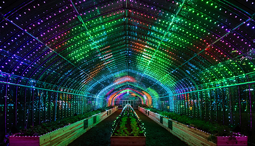 La nuova serra digitale di Tokyo