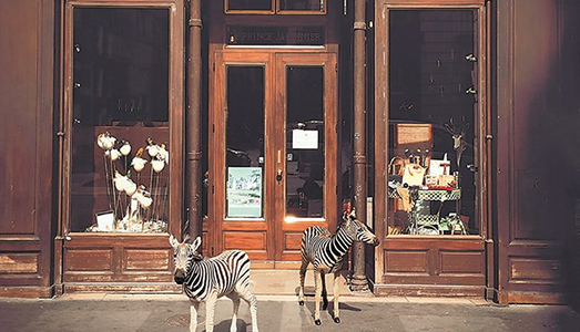 Il fantastico mondo di Deyrolle Il fantastico mondo di Deyrolle