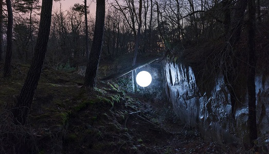 Le luci nella foresta