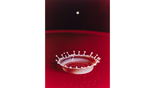 L’uomo che fermò il tempo