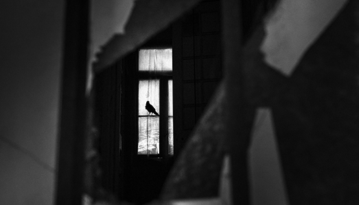 L’Isola del minotauro