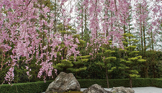 Storia del giardino giapponese