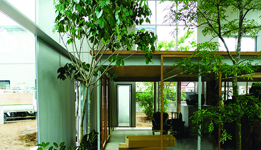 Junya Ishigami e le città | del futuro Junya Ishigami e le città | del futuro