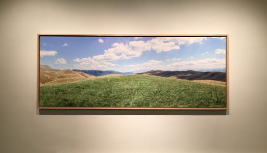 Fino al 2.IV.2016 | Simone Cametti, Greenit | Galleria Francesca Antonini Arte Contemporanea, Roma