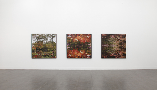 Fino al 9.III.2017 | Ori Gersht, The floating world | Brand New Gallery, Milano