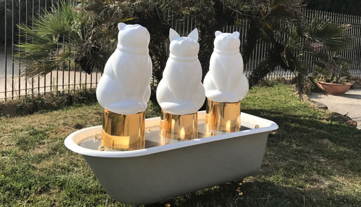 La Giornata internazionale  | del gatto