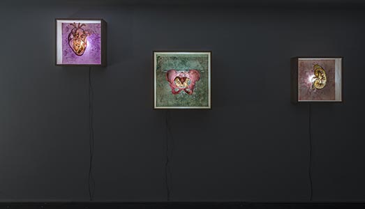 Fino al 20.VII.2018		 | Las Mitocondria, De Hysteria. De Secretis Naturae | Albumarte, Roma