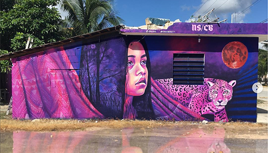 Dipingere tra le strade del Messico