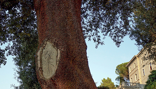 Icone per caso Icone per caso