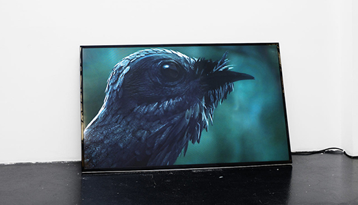 Fino al 25.XI.2017 | Jani Ruscica, M for Mauve | Otto Zoo Gallery, Milano Fino al 25.XI.2017 | Jani Ruscica, M for Mauve | Otto Zoo Gallery, Milano