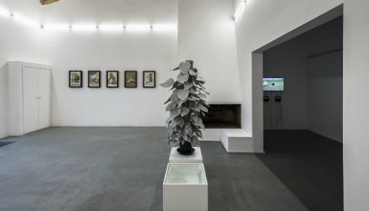 La strada perduta del Paradiso. Da Albumarte, cinque artisti raccontano l’America Latina