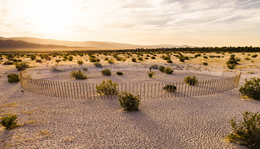 Biennale, tiro al bersaglio Biennale, tiro al bersaglio
