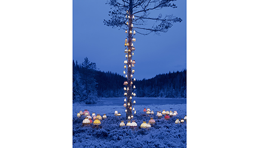 Mia Photo Fair 2019. La fotografia d’arte torna a Milano Mia Photo Fair 2019. La fotografia d’arte torna a Milano