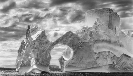 Il fascino inossidabile di Salgado Il fascino inossidabile di Salgado