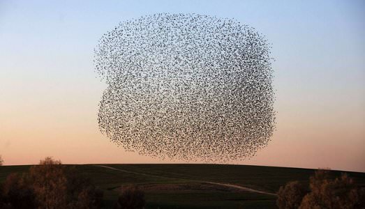 La natura dà spettacolo La natura dà spettacolo