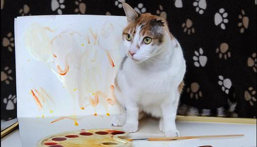 Van Gogh il gattino Van Gogh il gattino