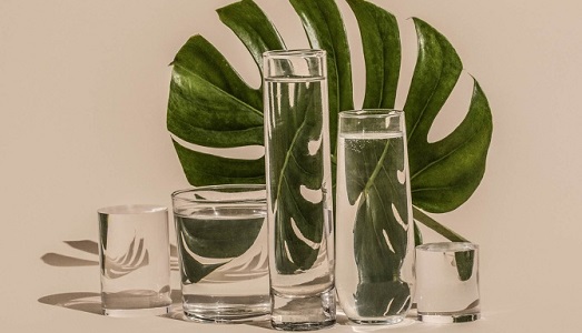 Le nature morte di Suzanne Saroff