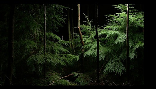 CURATORIAL PRACTISES