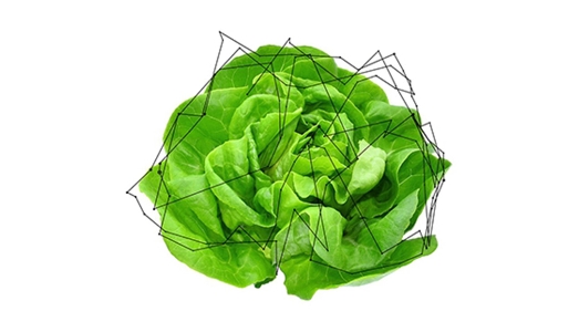 Cosimo Veneziano per Fondazione La Raia