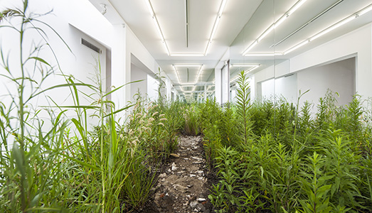 Curatorial Practices | Marco Scotini