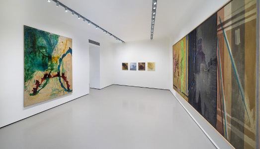 Un grande Polke è sbarcato a Venezia