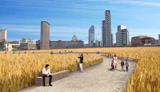 Fuori Miart/Che ne sai tu di un campo di grano, a Milano? Pronti all’opening di Wheatfield di Agnes Denes, realizzato con l’aiuto dei cittadini