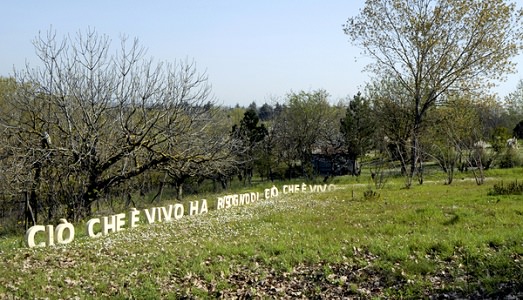Un atto di resistenza per ciò che è vivo. Emanuela Ascari alla Fondazione Baruchello, per una giornata di “culture tour”