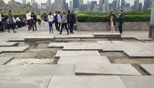 New York/musei. Pierre Huyghe al Metropolitan scava il roof, per rivelare il mistero della natura primordiale