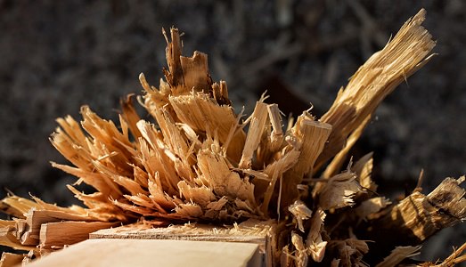 La foresta di Bosco. Atipografia presenta un’installazione site specific realizzata con alberi abbattuti. Per una primavera di fiori violenti