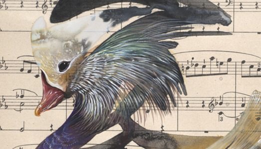 Il muralista sulle tracce del naturalista, per una nuova serie di graffiti. Ecco il progetto “The image hunter” di Hitnes, che parte con il crowdfunding