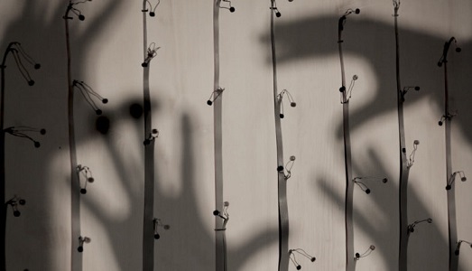 Alessandro Sciaraffa fa vibrare di suoni l’Hermitage Education Center di San Pietroburgo