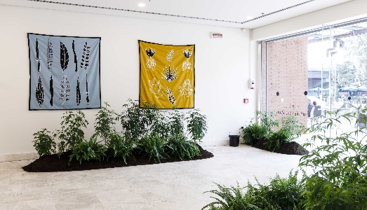 Lanciare i semi per far crescere un nuovo mondo. L’invito di Andreco e Sara Alberani