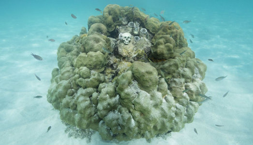 Come stiamo cambiando il mondo. Le fotografie di Anne de Carbuccia, in mostra a Napoli