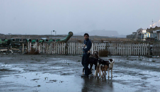 Annunciati i film italiani che se la giocheranno agli Oscar