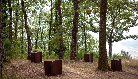 Luci, vulcani e venti, incontrando l’arte contemporanea sul cammino della via Francigena Luci, vulcani e venti, incontrando l’arte contemporanea sul cammino della via Francigena