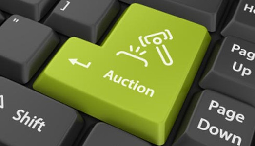 Il dominio all’asta Il dominio all’asta