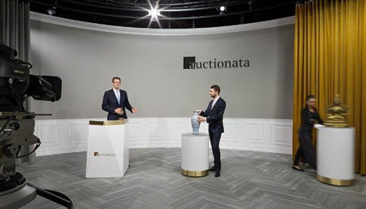 Il neonato gruppo di aste online è in crisi