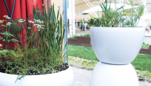 Una fragranza per sostenere Save the Children. Ettore Favini realizza per Expo un’installazione in continuo mutamento