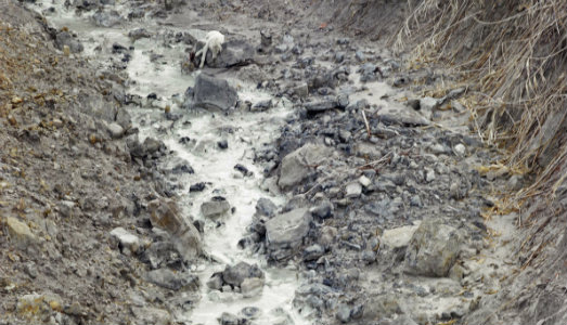 Chi può ingannare la Dea Mefite? Salvatore Esposito, con i suoi scatti in esposizione alla BRAU di Napoli