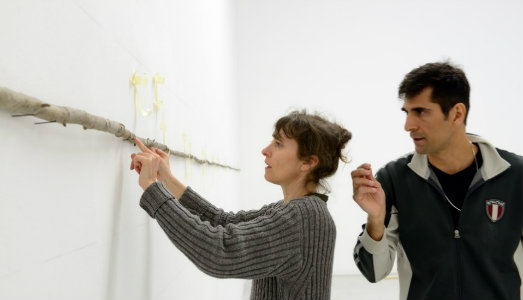 Scoprire l’energia della terra. Aperto il bando di residenza della Galleria d’Arte Moderna di Torino e della Fondazione Spinola Banna