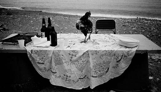 Non solo fotografia. Letizia che coglie l’attimo |