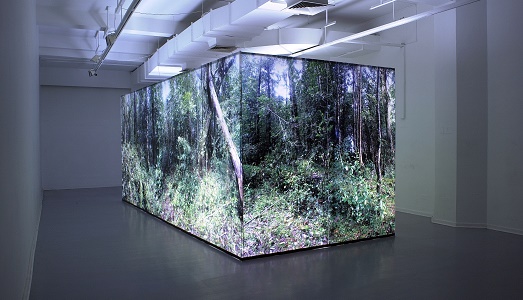 Biennale Arte 2017: Bernardo Oyarzún rappresenterà il Cile, raccontando degli indigeni Mapuche