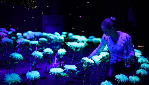 Alla Biennale di Saint-Etienne sta crescendo il nuovo mondo del design Alla Biennale di Saint-Etienne sta crescendo il nuovo mondo del design