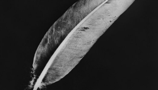 Vinci un biglietto per l’amore e per il concerto dei Cigarettes after sex