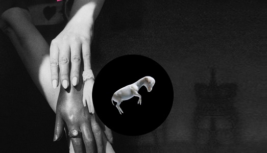 “Luglio suona bene” anche di arte. Tre domande a Kazu Makino, frontwoman dei Blonde Readhead, dopo la data alla Triennale di Milano