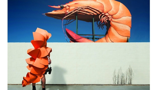 Rosso per la BOAA Rosso per la BOAA